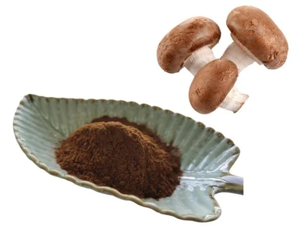 Shiitake Mushroom Extract Powder，  Lentinus Edodes Extract ，Polysaccharide 