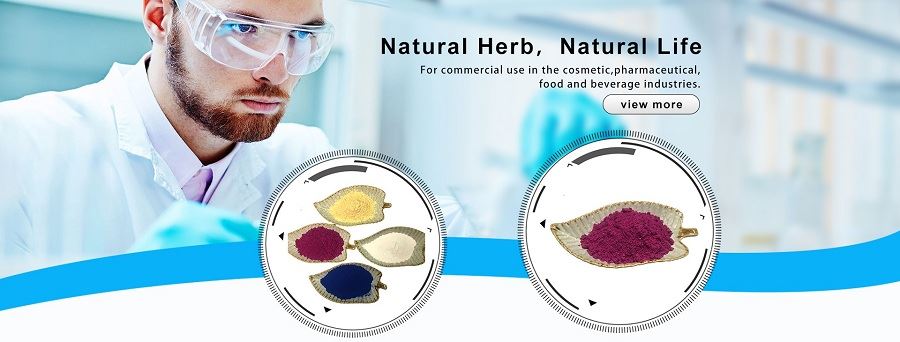 LONIERHERB (2)