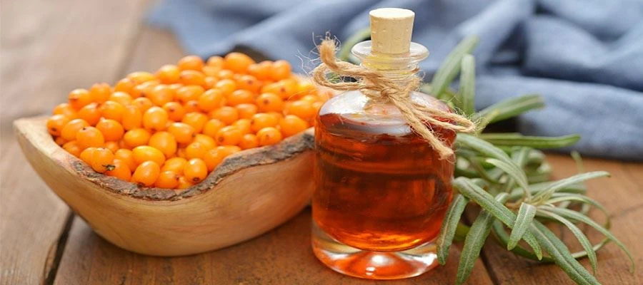 Sea Buckthorn Berry Oil Sea Buckthorn Berry Oil