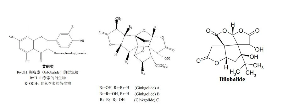 Ginkgolide Powder