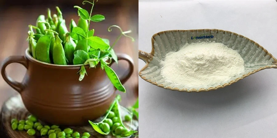 Pure Pea Protein Powder