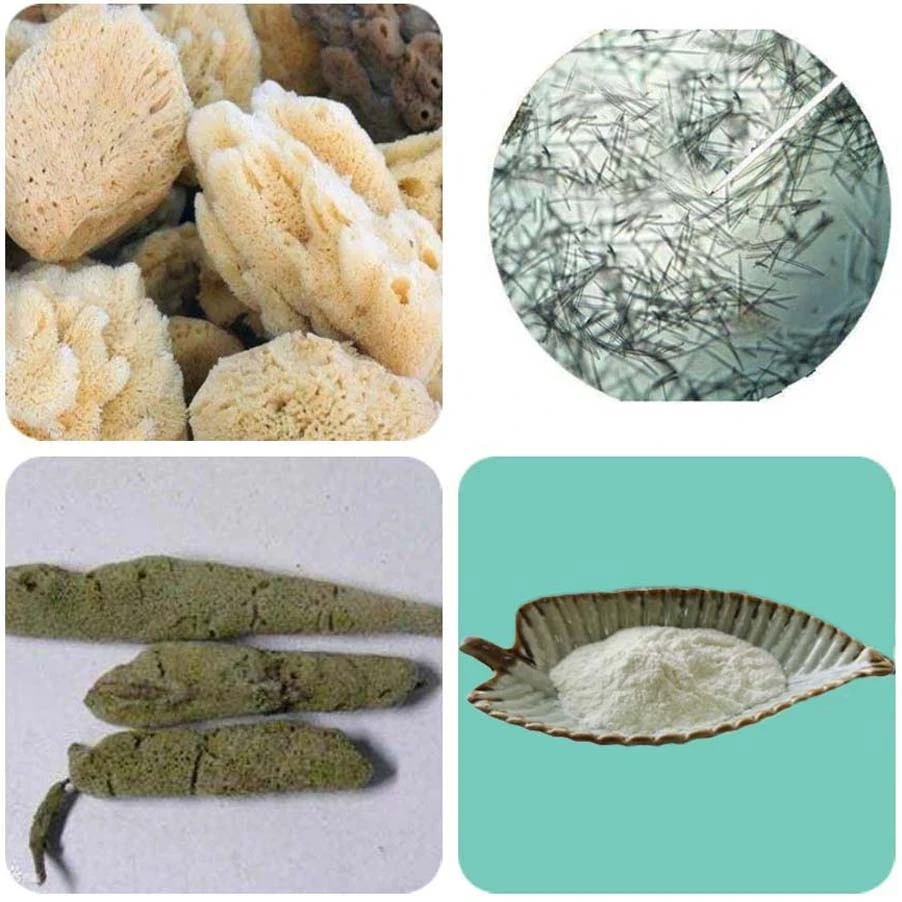 Hydrolyzed Sponge Extract