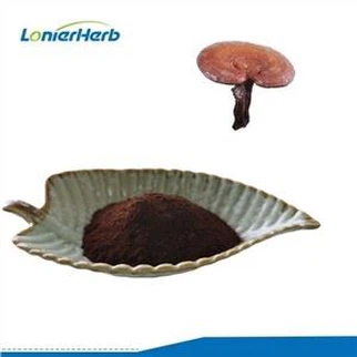 אבקת נבגים של Ganoderma Lucidum שבורה
