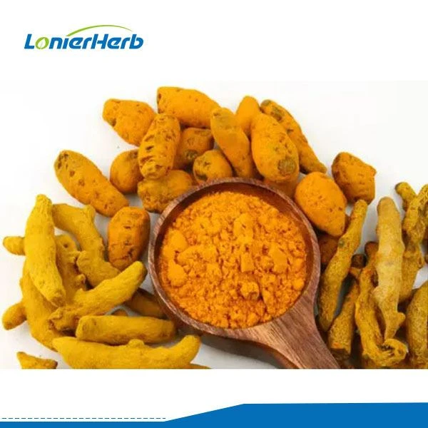 Curcuma Longa Extract Powder