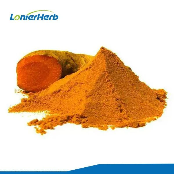 Curcuma Longa Extract Powder