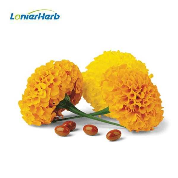 Marigold Extract Powder