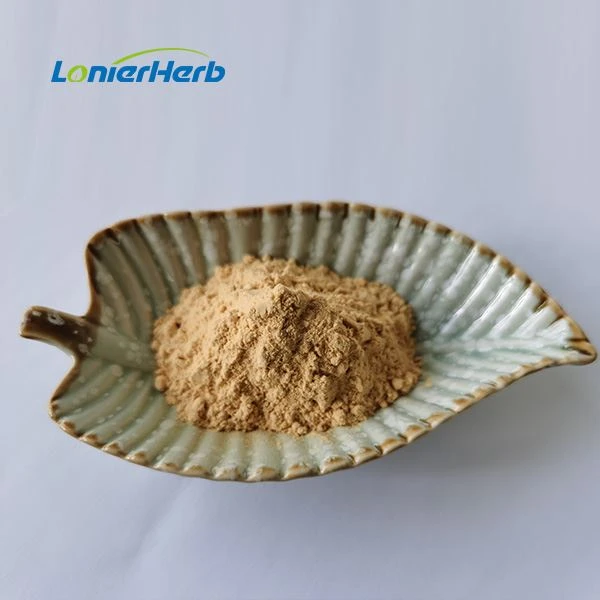 Panax Notoginseng Extract factory
